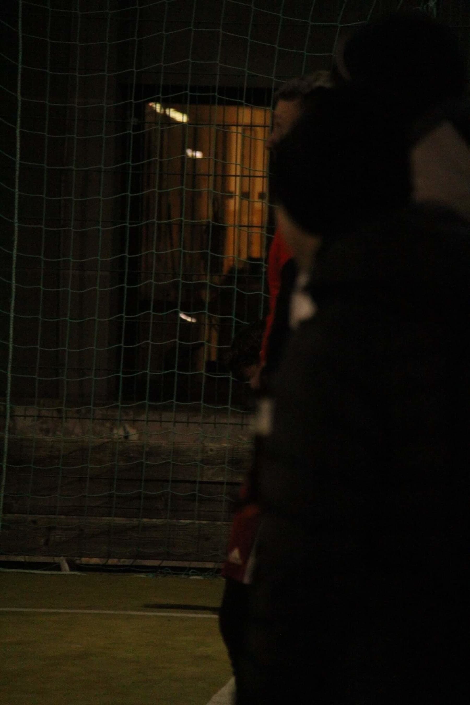 2024   TRALALALALA IMG_1687_ocdqwx